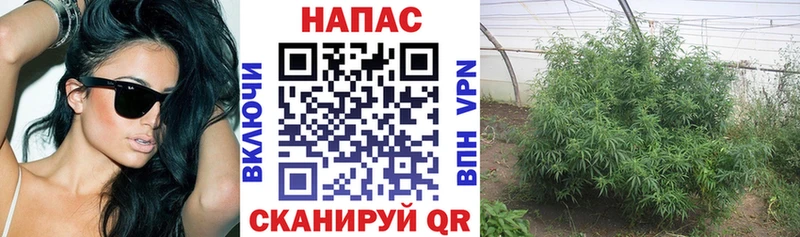 Наркота Кандалакша Канабис КОКАИН ГАШИШ A PVP блэк спрут зеркало МЕФ