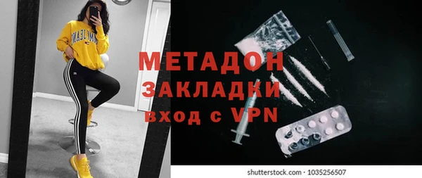 крисы Болотное