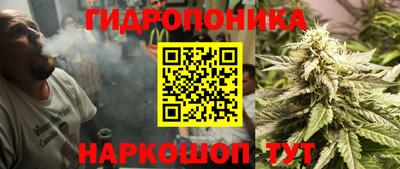 СК Дубна
