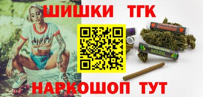 СК Дубна