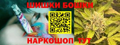 СК Дубна