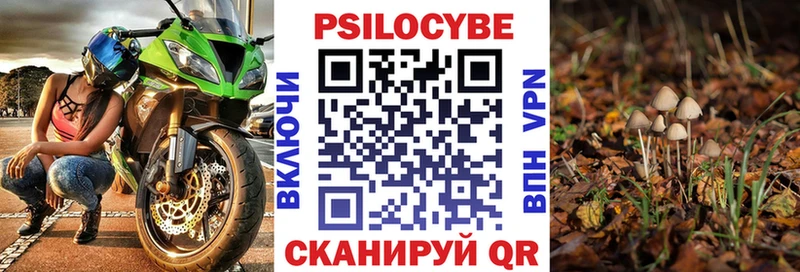 Псилоцибиновые грибы Psilocybe  где купить наркоту  Кандалакша 