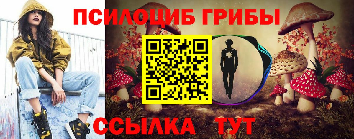 Галлюциногенные грибы Cubensis  Вход с VPN  Кандалакша  Псилоцибиновые грибы GOLDEN TEACHER 