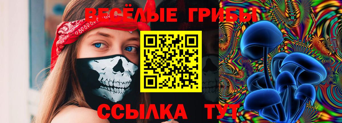 Галлюциногенные грибы мухоморы  Кандалакша 